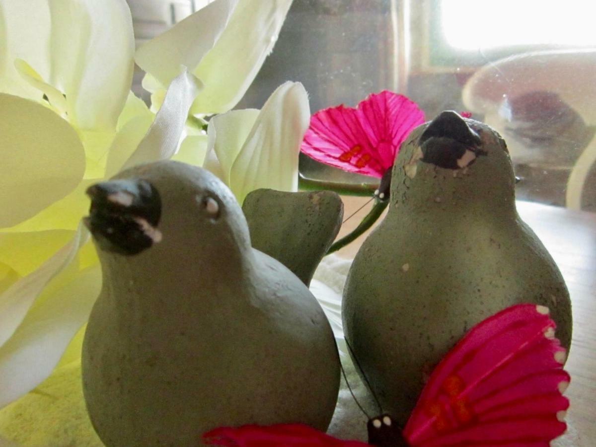 Les 5 Petits Lapins Bed & Breakfast Bar Bagian luar foto